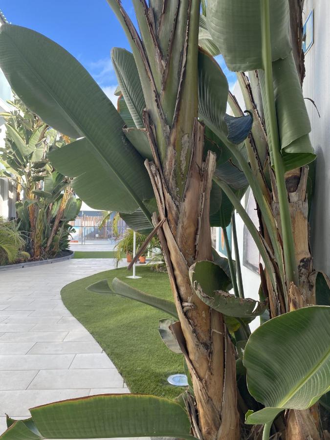 Sun And Surf Stay Corralejo Exterior photo